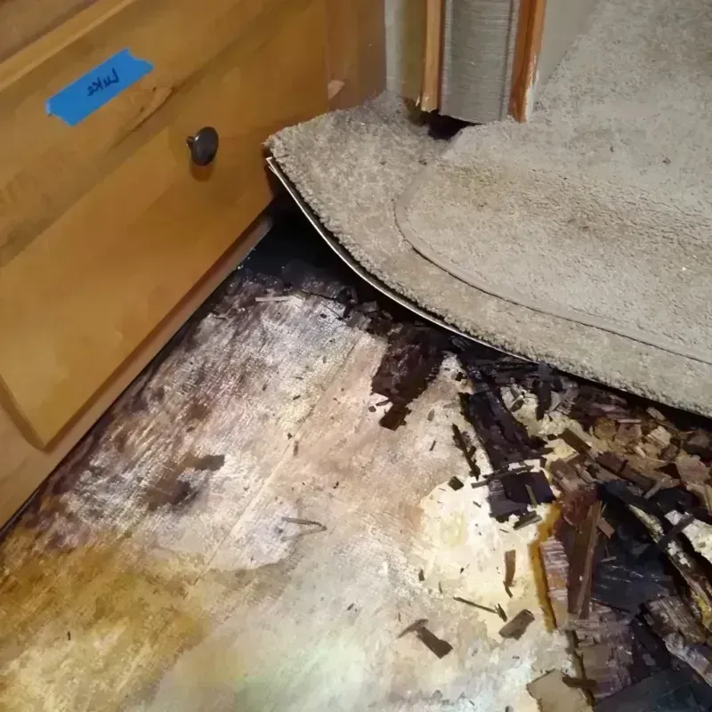 Wood Floor Water Damage in Rowland, NC